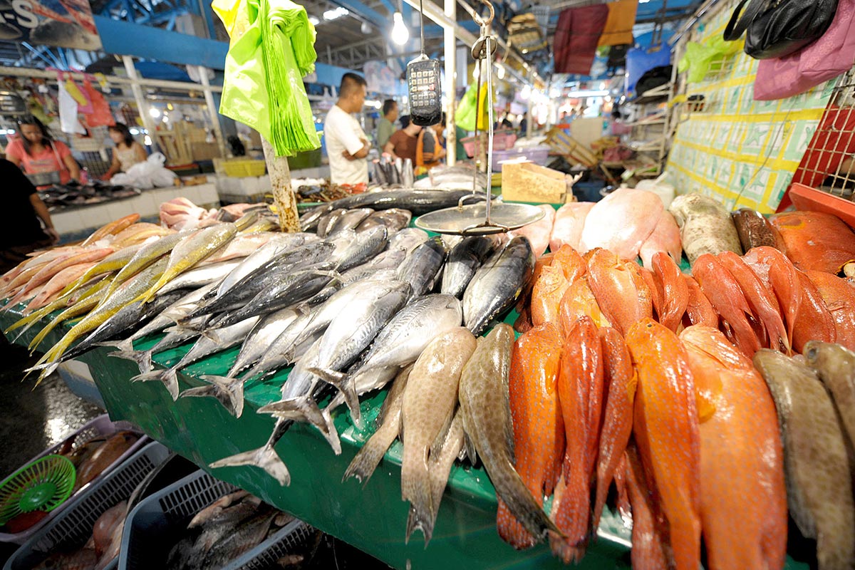 Fishery In Southeast Asia Stock Photos - 1,270 Images