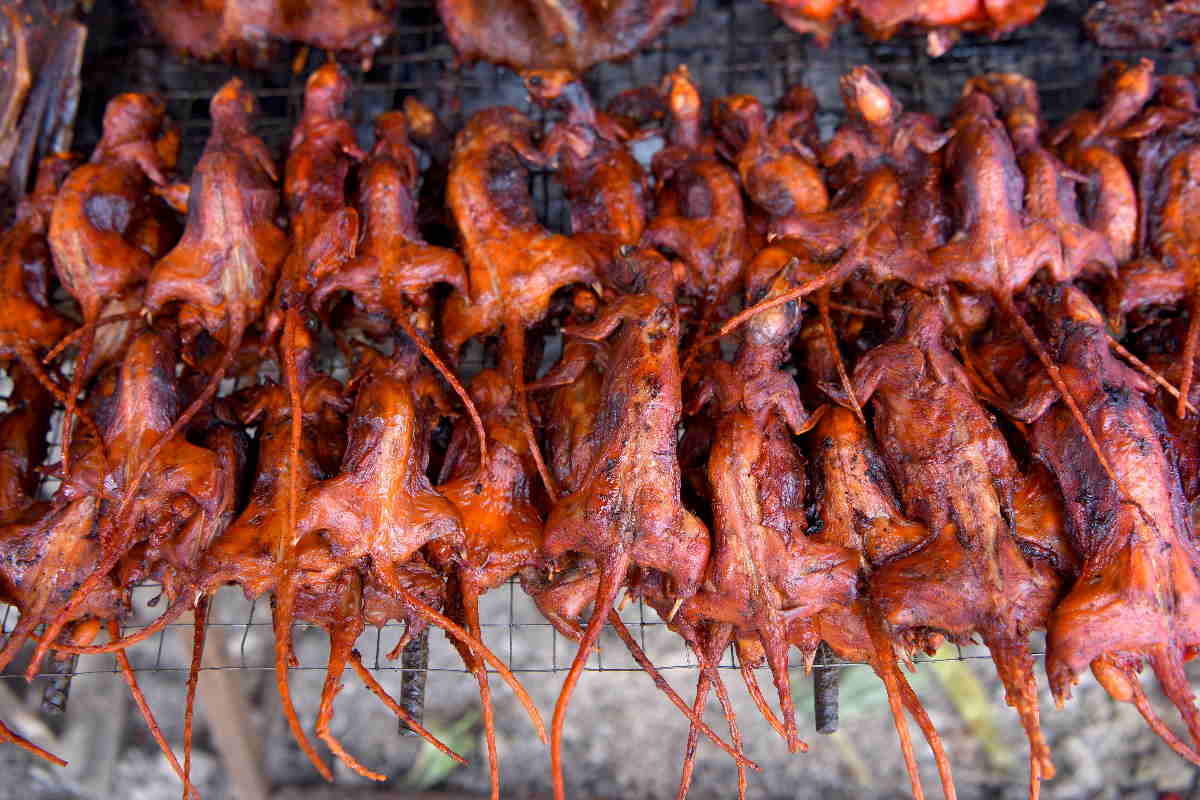 China People Eating Rats