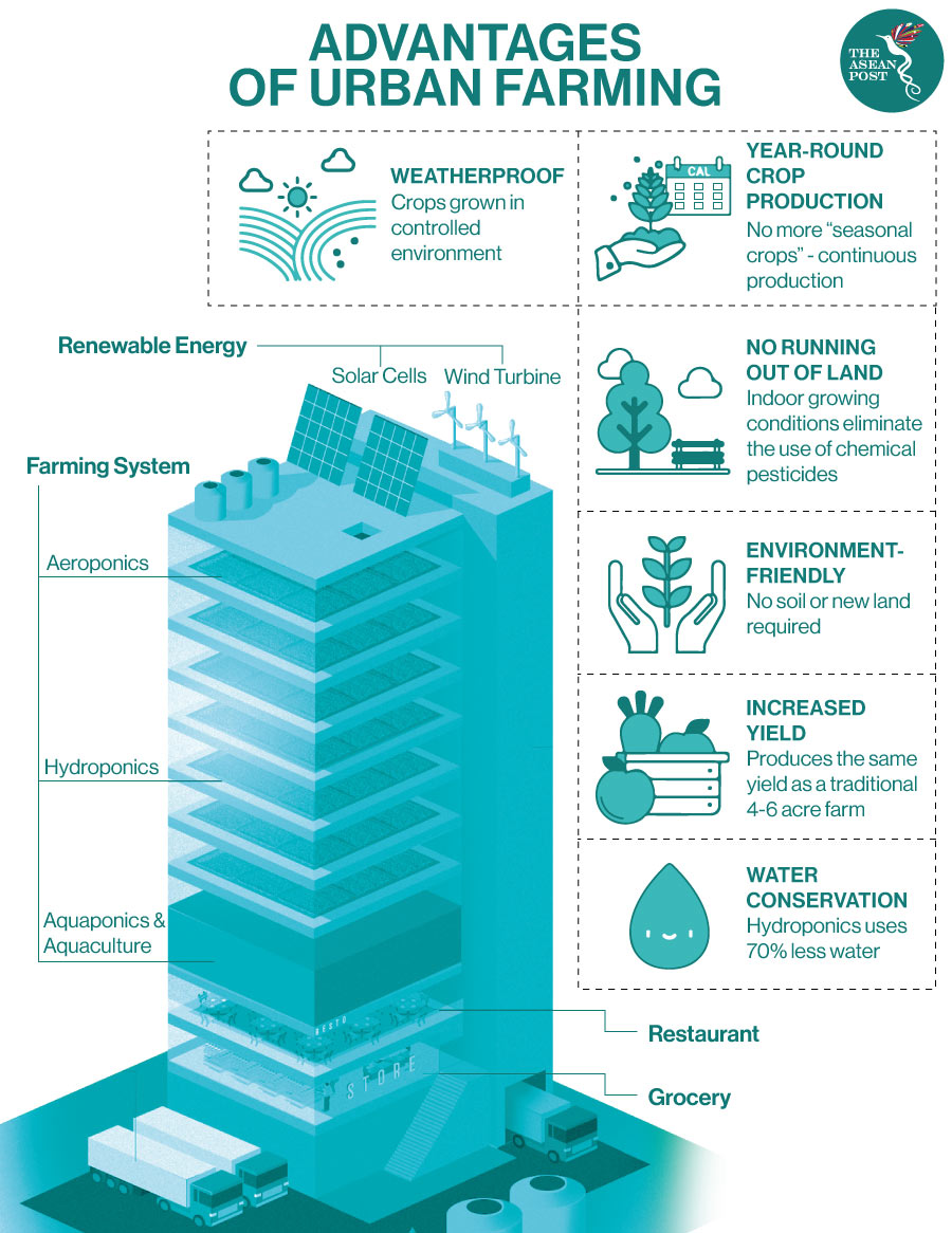 Turning Empty Spaces Into Urban Farms In Malaysia The Asean Post