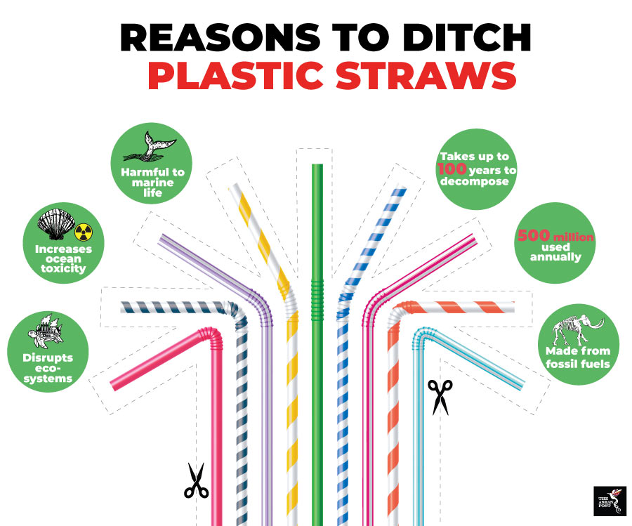 Why ditching Plastic Straws?