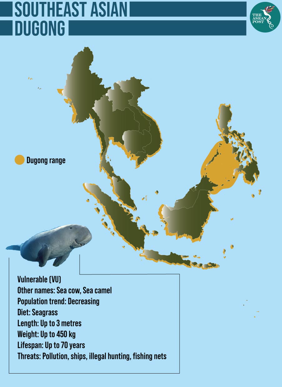 Dugong Habitat Map Dugong Habitat Map
