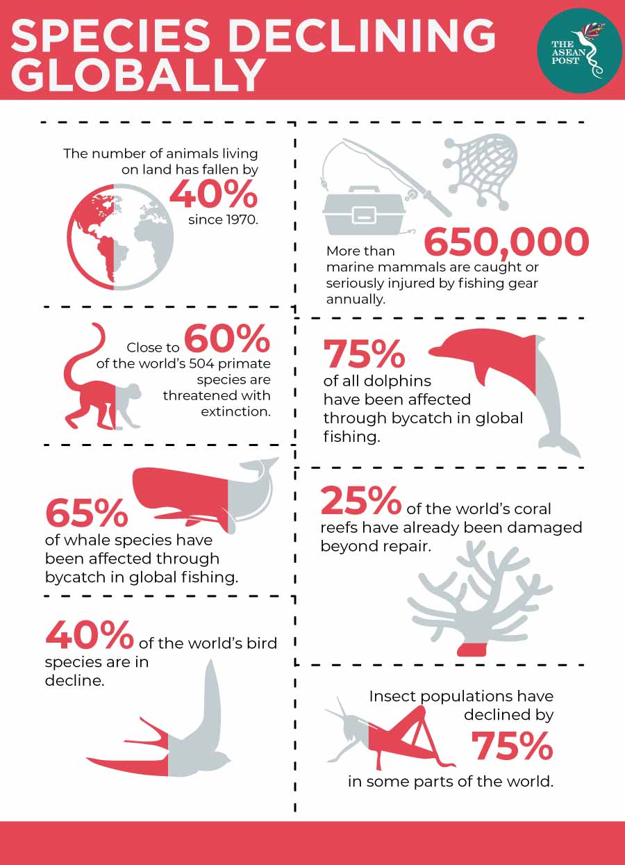 Species declining globally