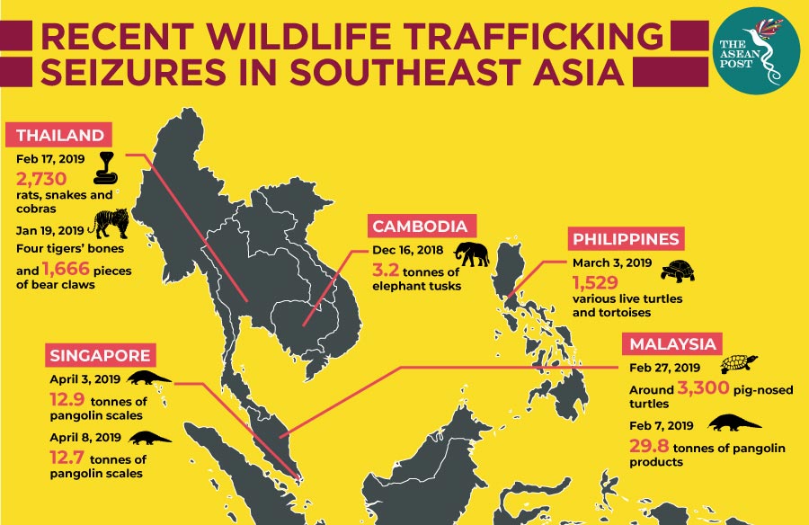 RECENT-WILDLIFE-TRAFFICKING-SEIZURES-SEA 