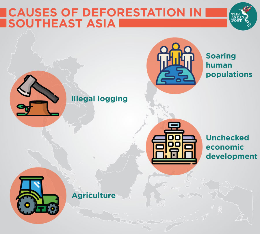 What are the causes of deforestation in south asia