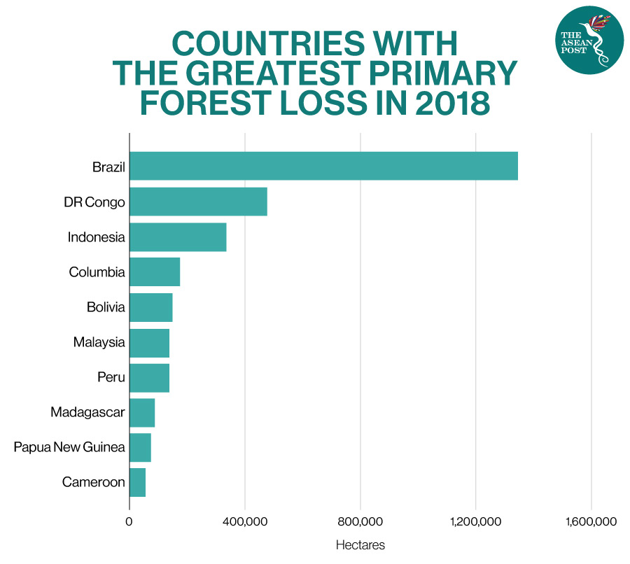 Countries with great forest loss