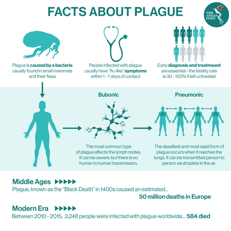 Facts about plague