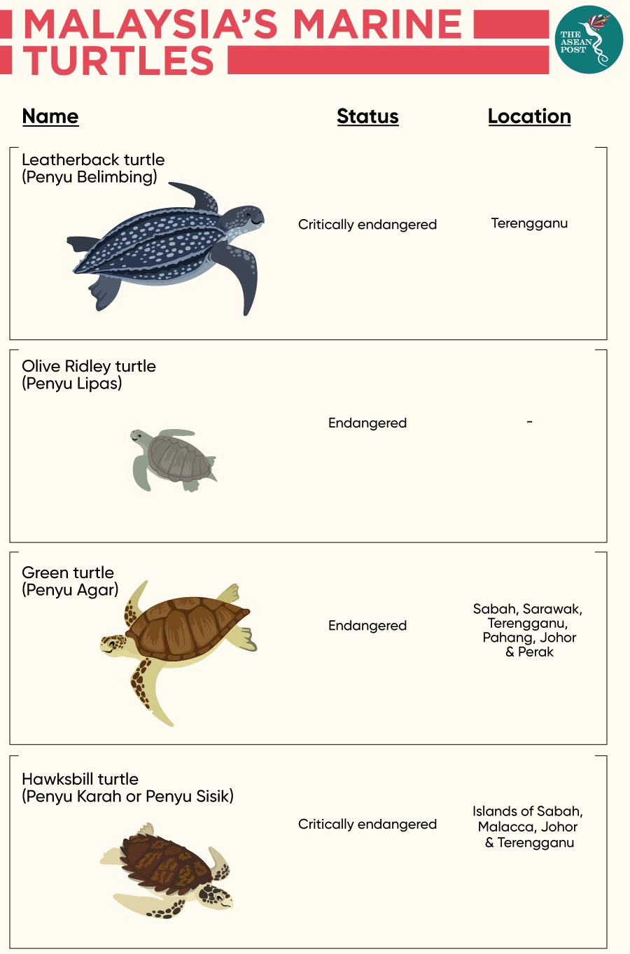 Malaysia's turtles