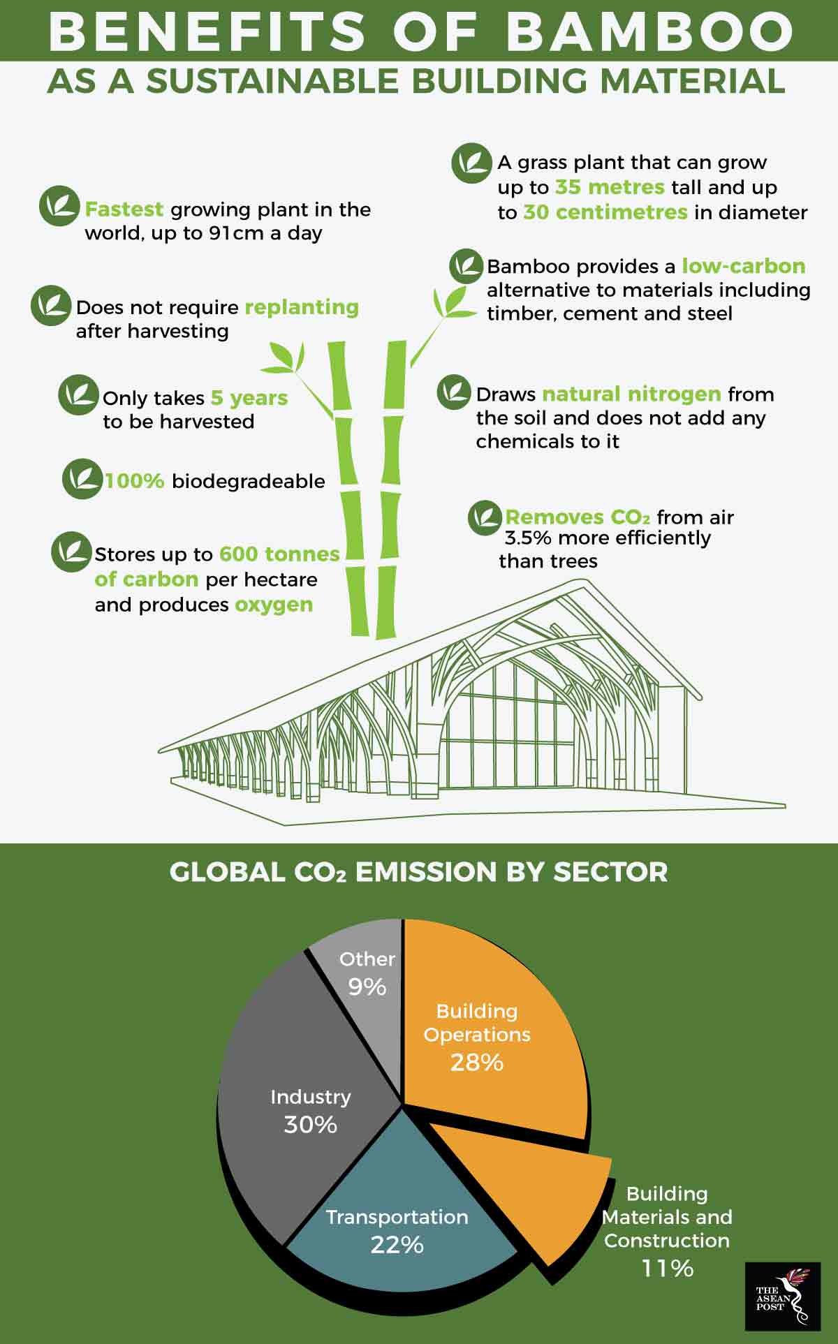 Fighting climate change with bamboo