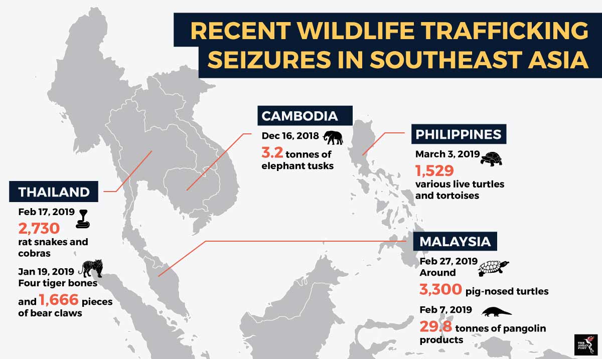 Illegal wildlife trade rampant in social media