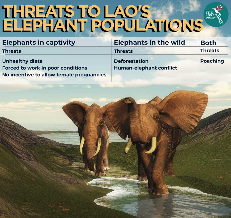 Threats to Lao's Elephant Population