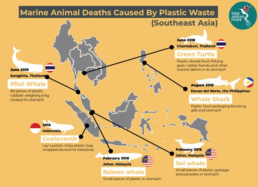 Marine death by plastic in ASEAN