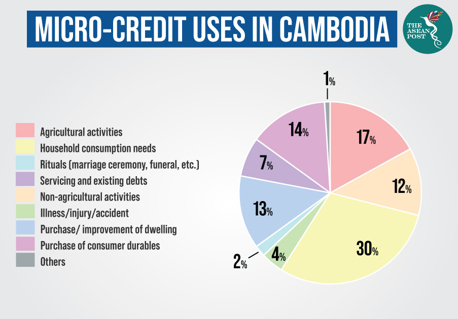 Uses for Cambodian microcredit
