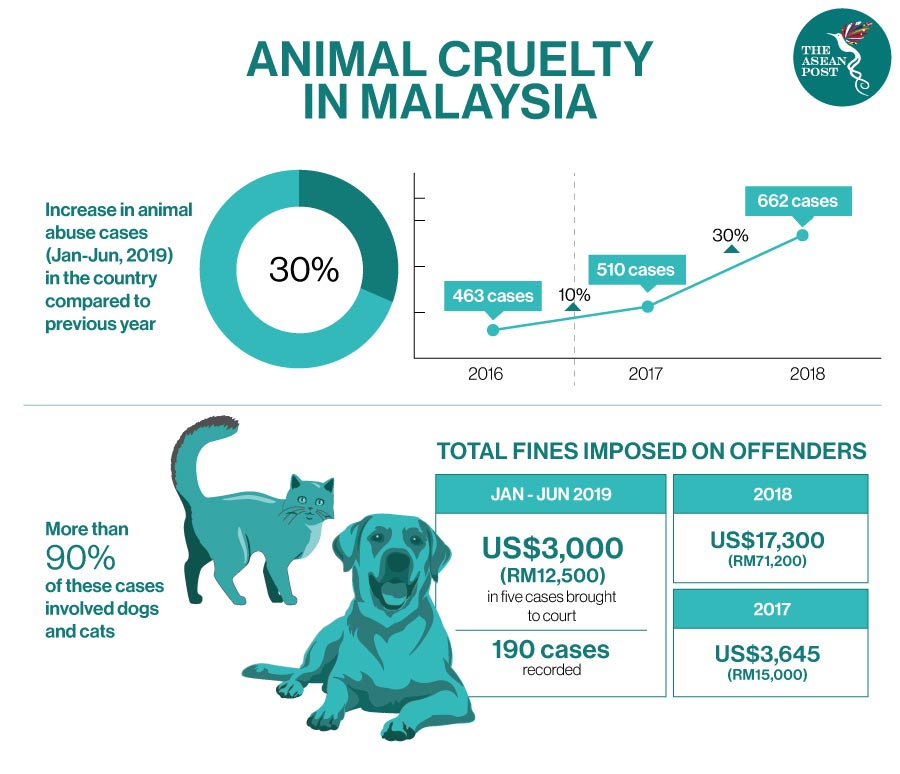 animal abuse statistics graphs 2022