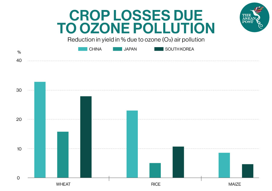 Ozone Pollution Costs Asia Billions In Lost Crops | The ASEAN Post