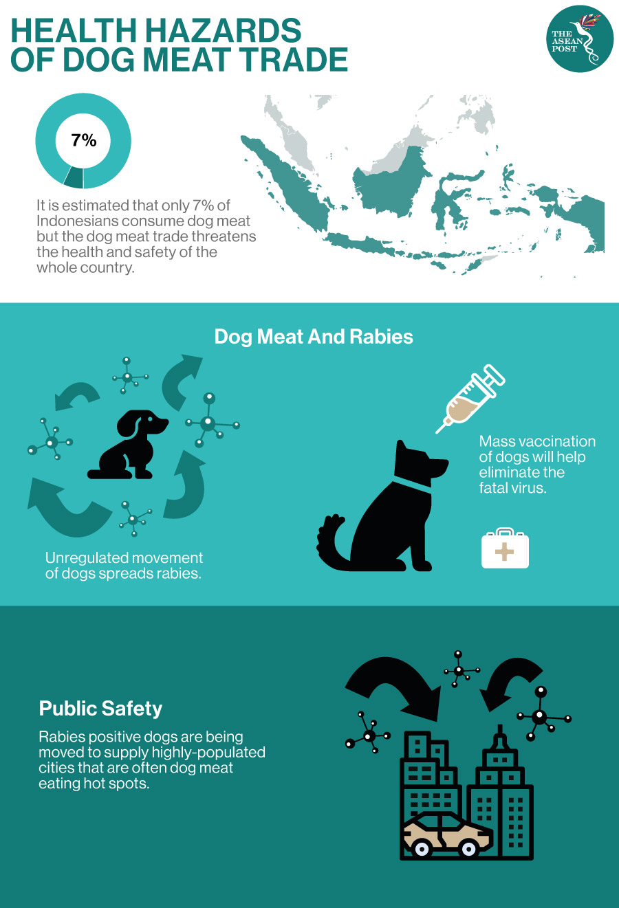 Health hazard dog meat trade in Indonesia