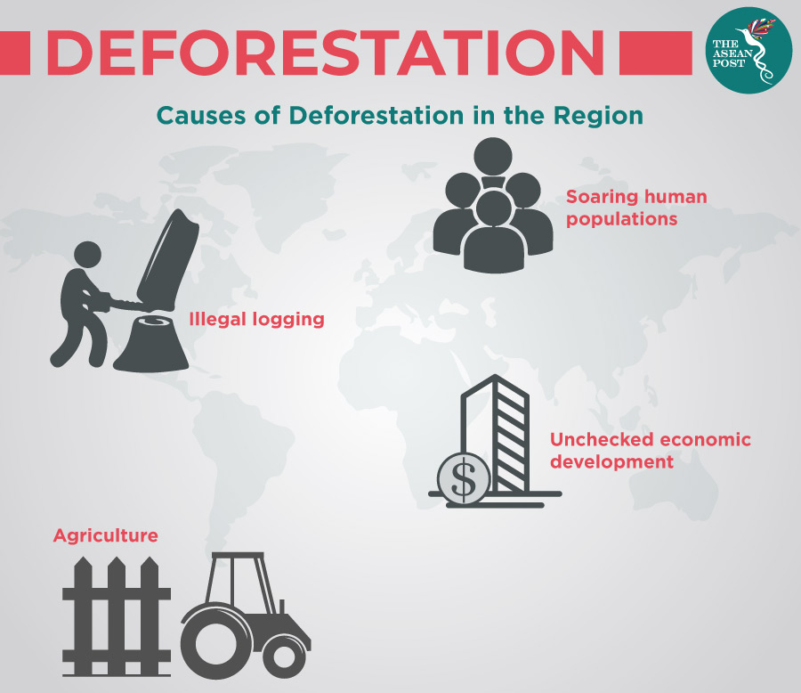 Deforestation A Modern Day Plague In Southeast Asia The Asean Post