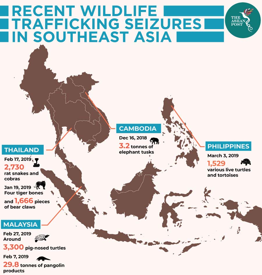 Wildlife trafficking in Southeast Asia