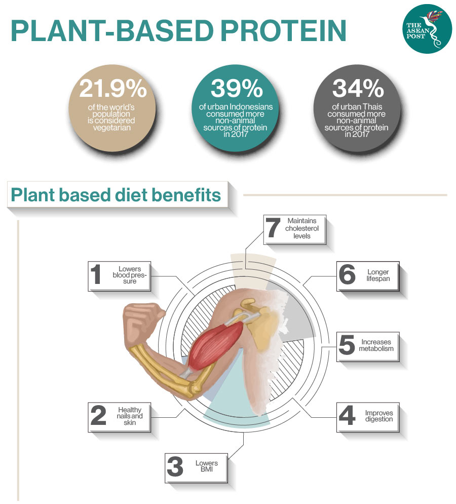 plant based diet