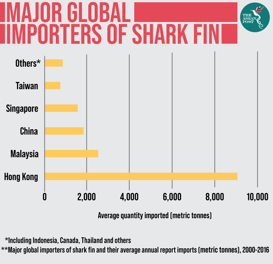 Major global importers shark fin