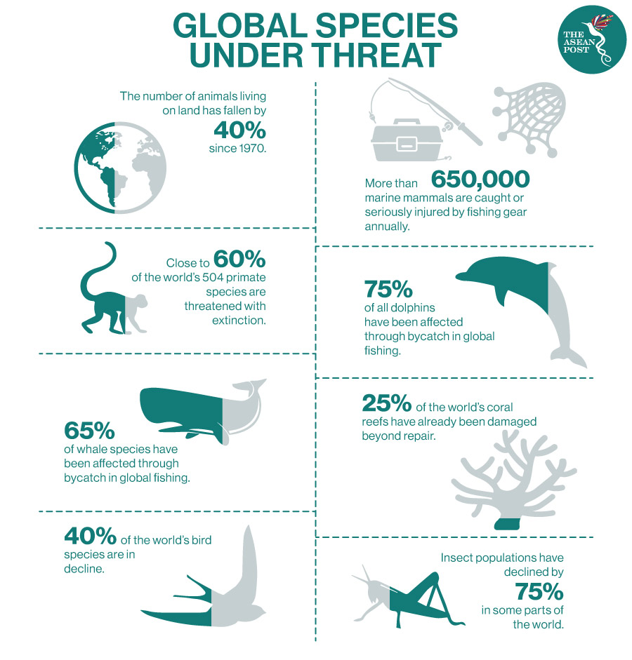 species declining globally