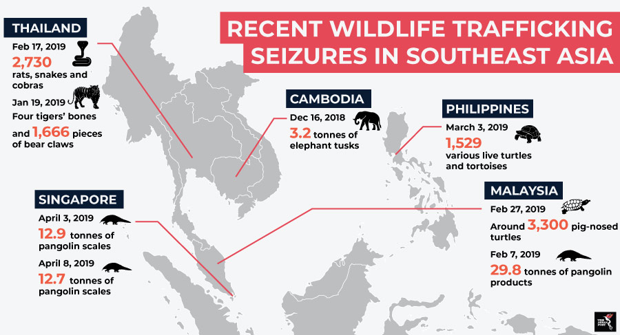 ASEAN wildlife trafficking