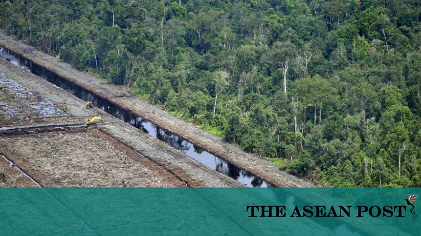 Deforestation A Modern Day Plague In Southeast Asia The Asean Post