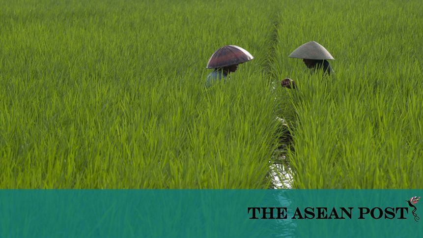 CFF Research- Khám Phá Thế Giới Khoa Học Đầy Tiềm Năng Với Https//cffresearch.org/