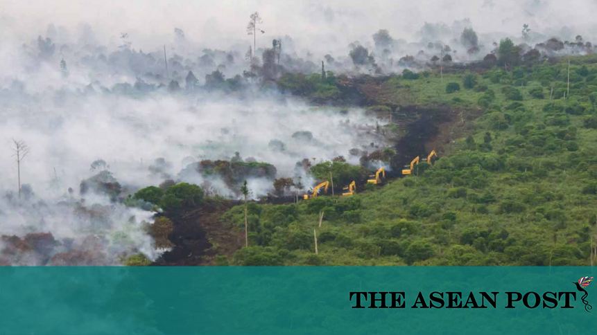 The Forest Screams The Asean Post