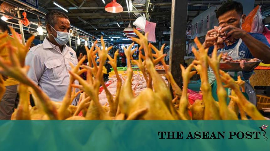 Food Crisis Malaysia Bans Chicken Exports The Asean Post