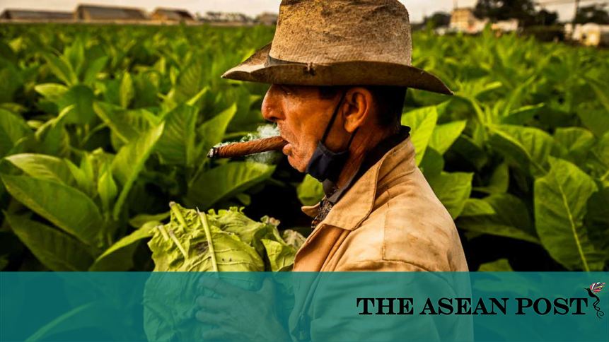 big-tobacco-s-environmental-impact-is-shocking-the-asean-post