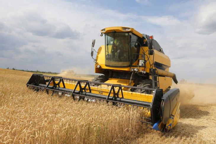 Harvesting wheat in Ukraine